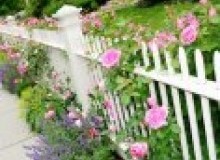 Kwikfynd Garden fencing
ulyerra